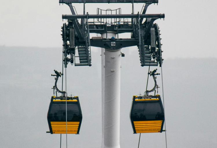 Multilingual Support	